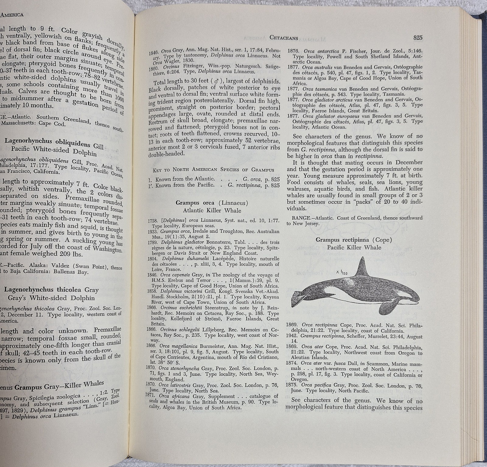 The Mammals of North America (Hall & Kelson • 2‑Volume Set)
