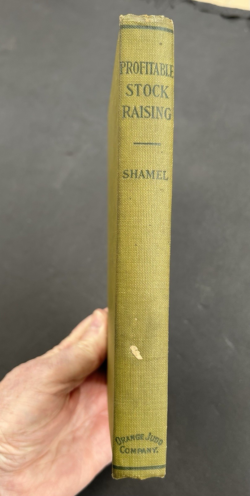 1911 Profitable Stock Raising by Clarence A Shamel Farm Life Series HB Illust
