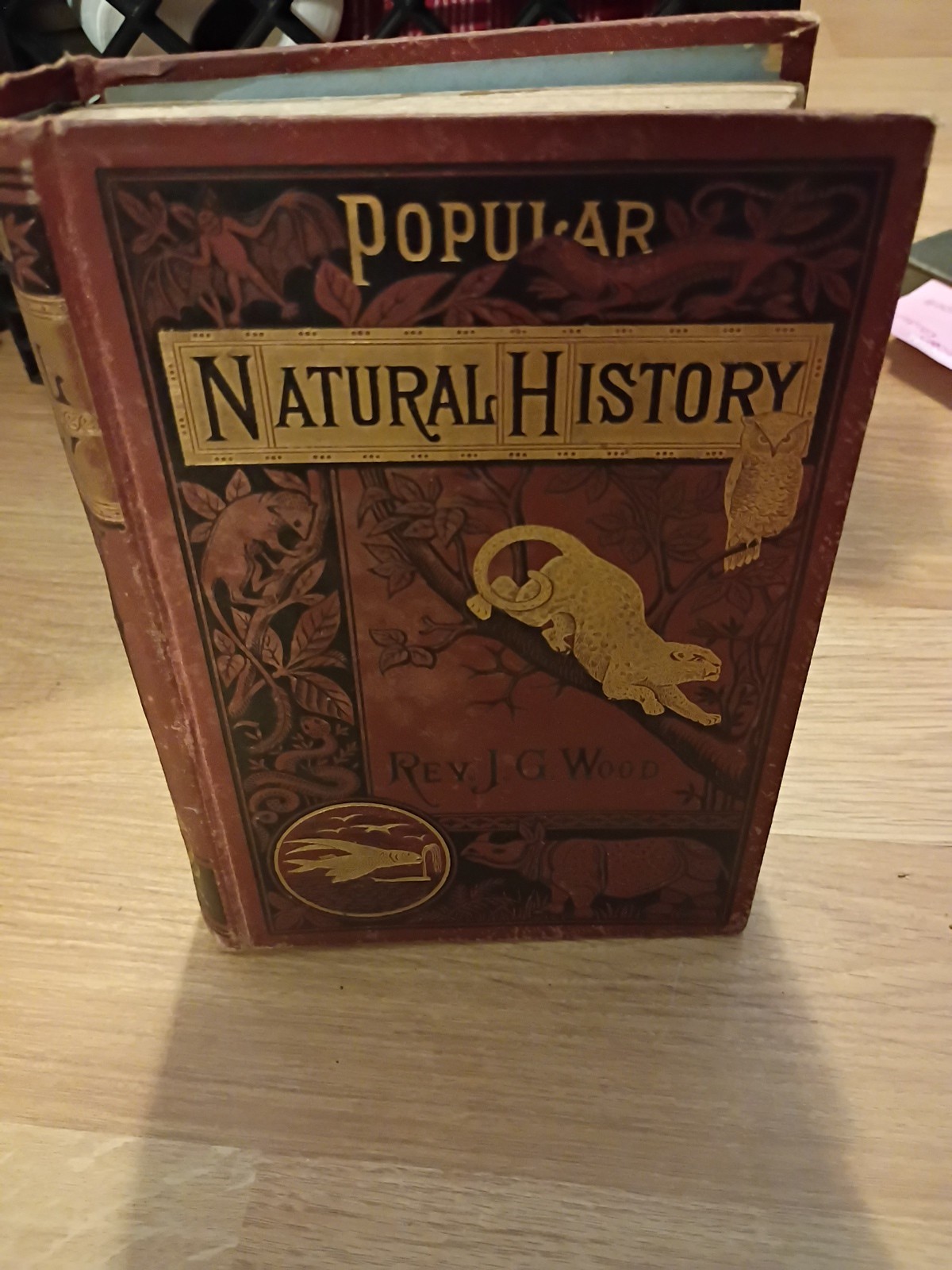 1883 Illustrated Popular ￼Natural History by J. G. Wood 500 illustrations.