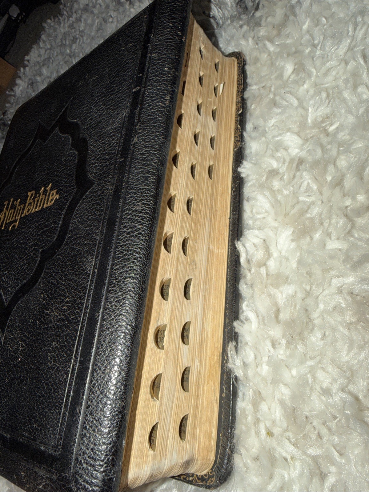 THE HOLY BIBLE, CONTAINING THE OLD AND NEW TESTAMENTS LEATHER BOUND INDEXED RARE
