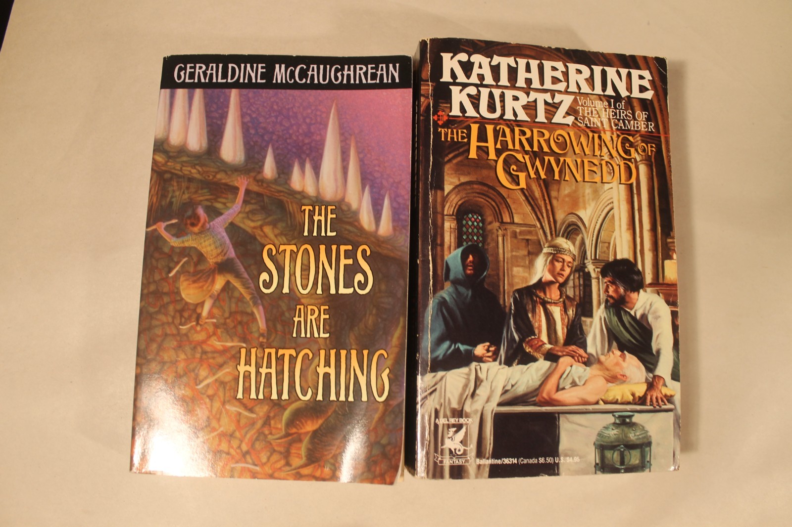 Lot of 10 Fantasy Novels – Mercedes Lackey, McCaffrey, Chester, McCaughrean
