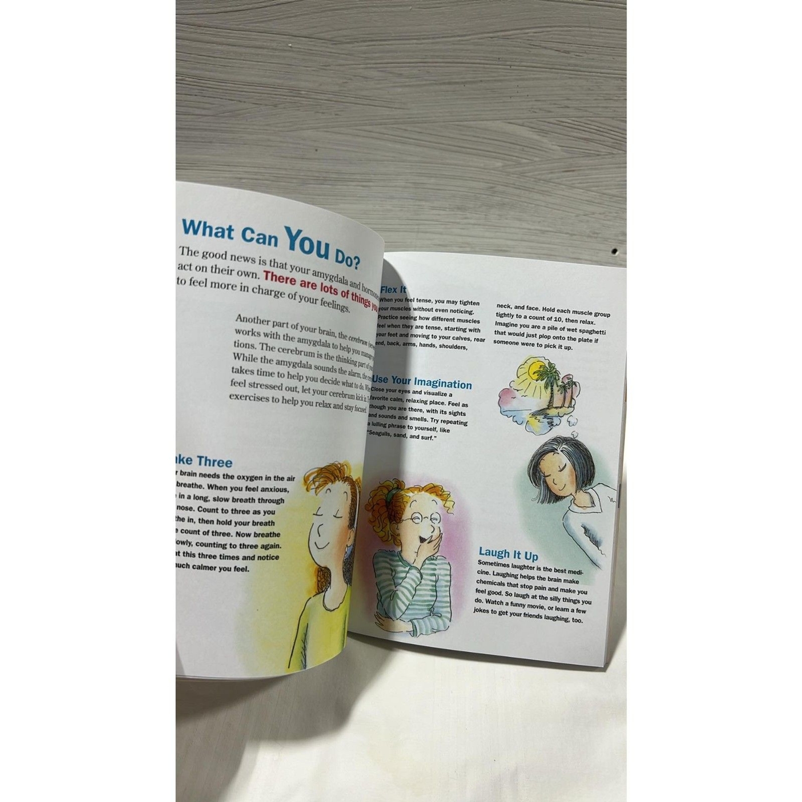 The Feeling Book The Care and Keeping of Your Emotions Paperback Lynda Madison