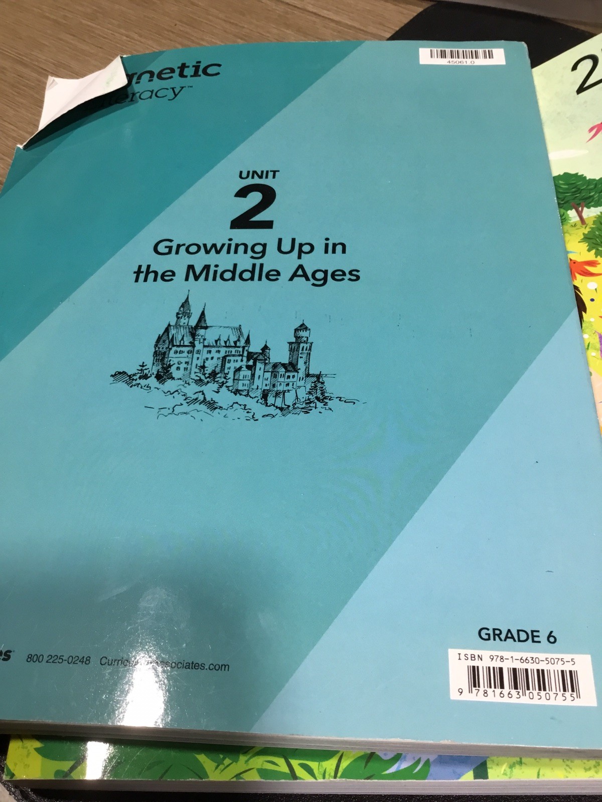 Magnetic Literacy 2 Unit 6 2027 Edition “Growing Up in the Middle Ages NEW BOOK