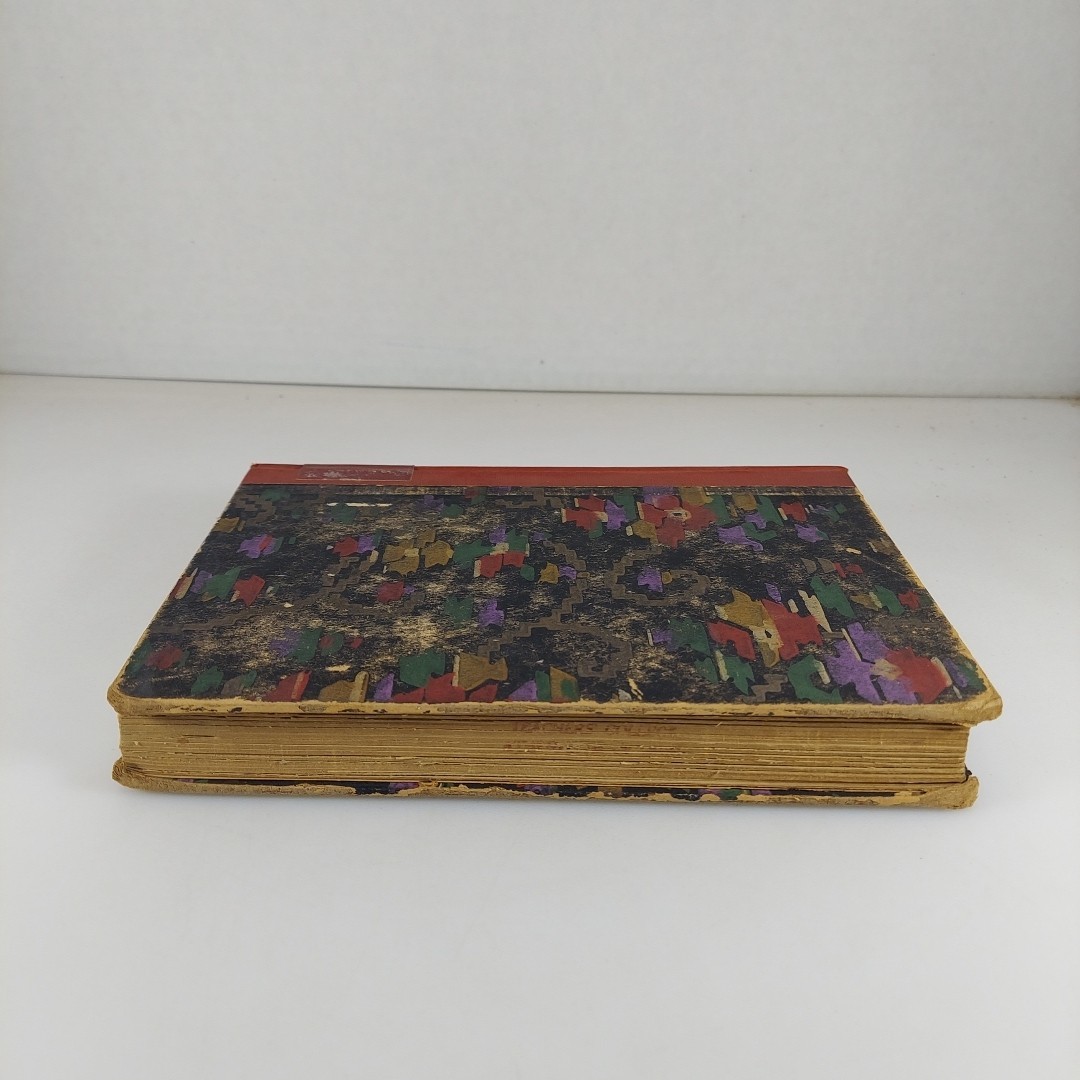 Lectures to Living Authors By Lacon 1925 Houghton Mifflin Illustr HC Ex-Library