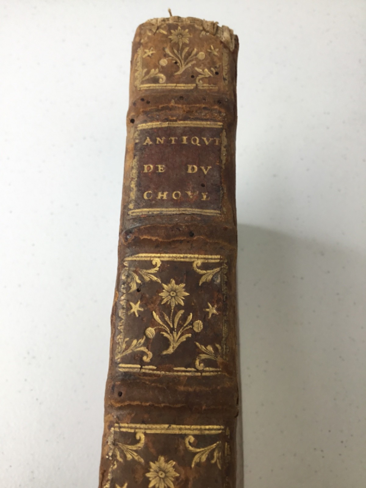 1567 Discours De La Religion Des Anciens Romains, RARE Illustrated Leather Latin