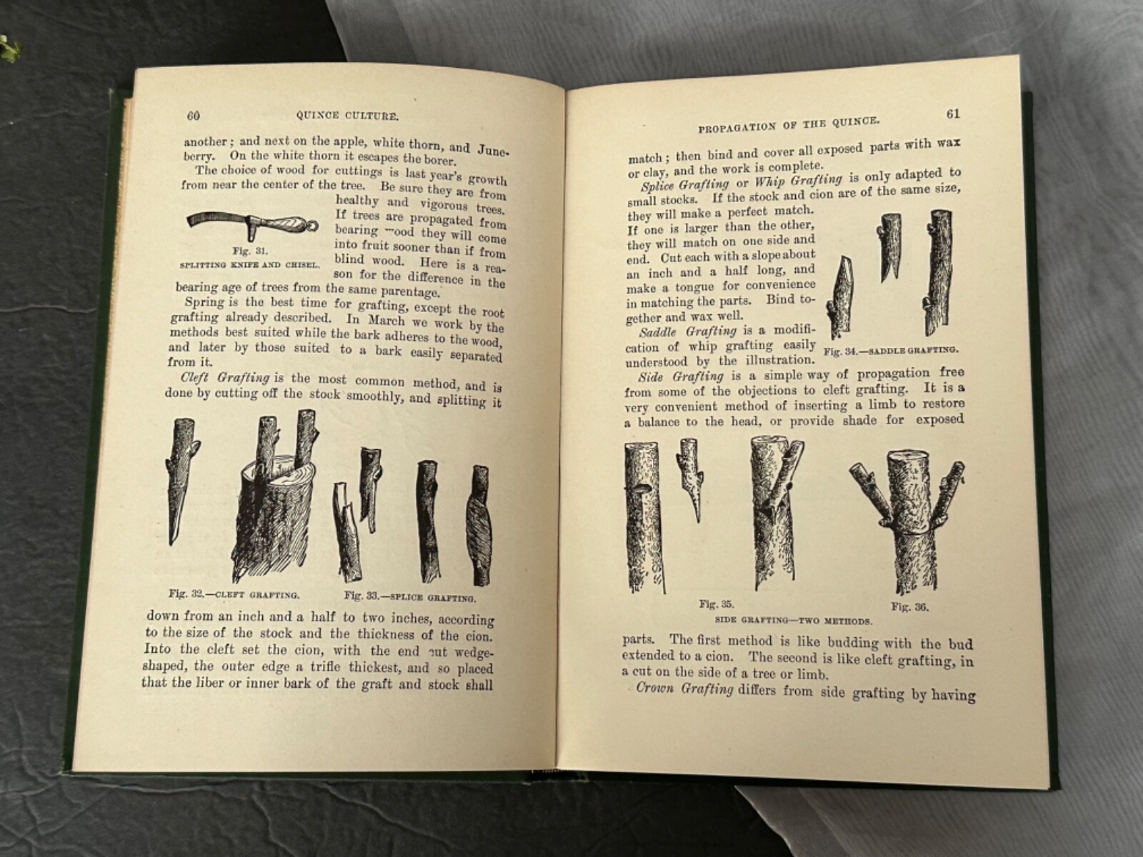 Quince Culture Meech Antique Agriculture Book Vintage Farming
