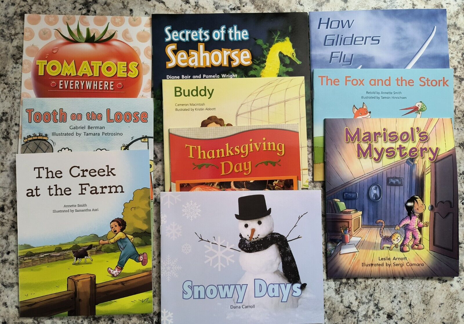 HMH Literacy Rigby PM Leveled Library Readers Grade 1 Levels C-K Into Reading