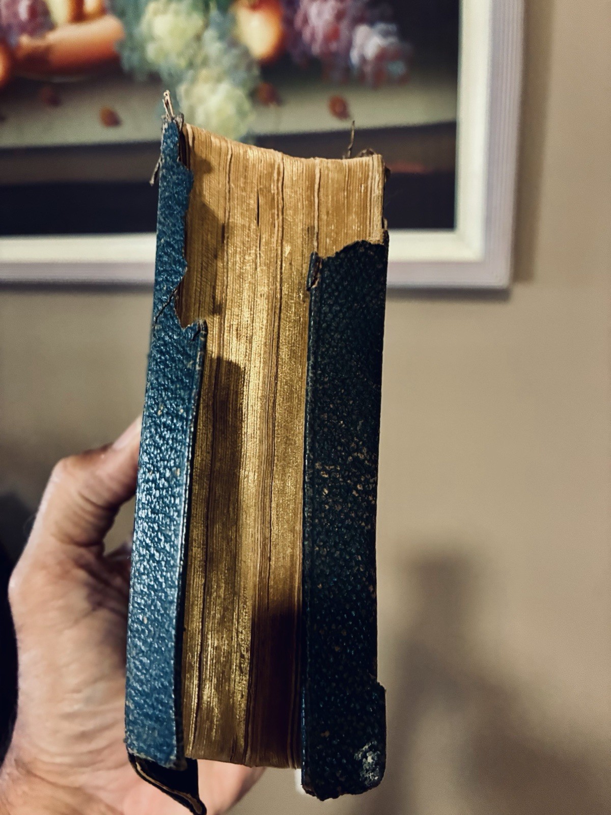 The Holy Bible 1881 Leather Bound American Bible Society