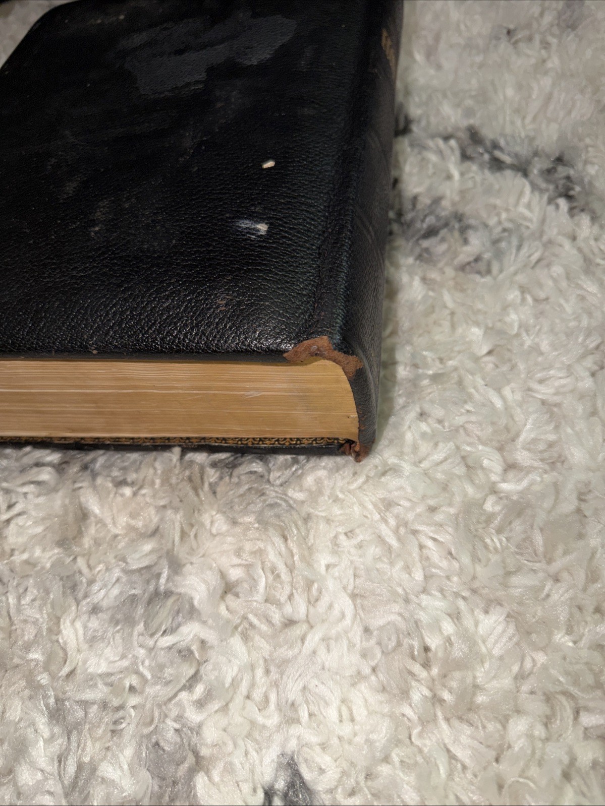 THE HOLY BIBLE, CONTAINING THE OLD AND NEW TESTAMENTS LEATHER BOUND INDEXED RARE