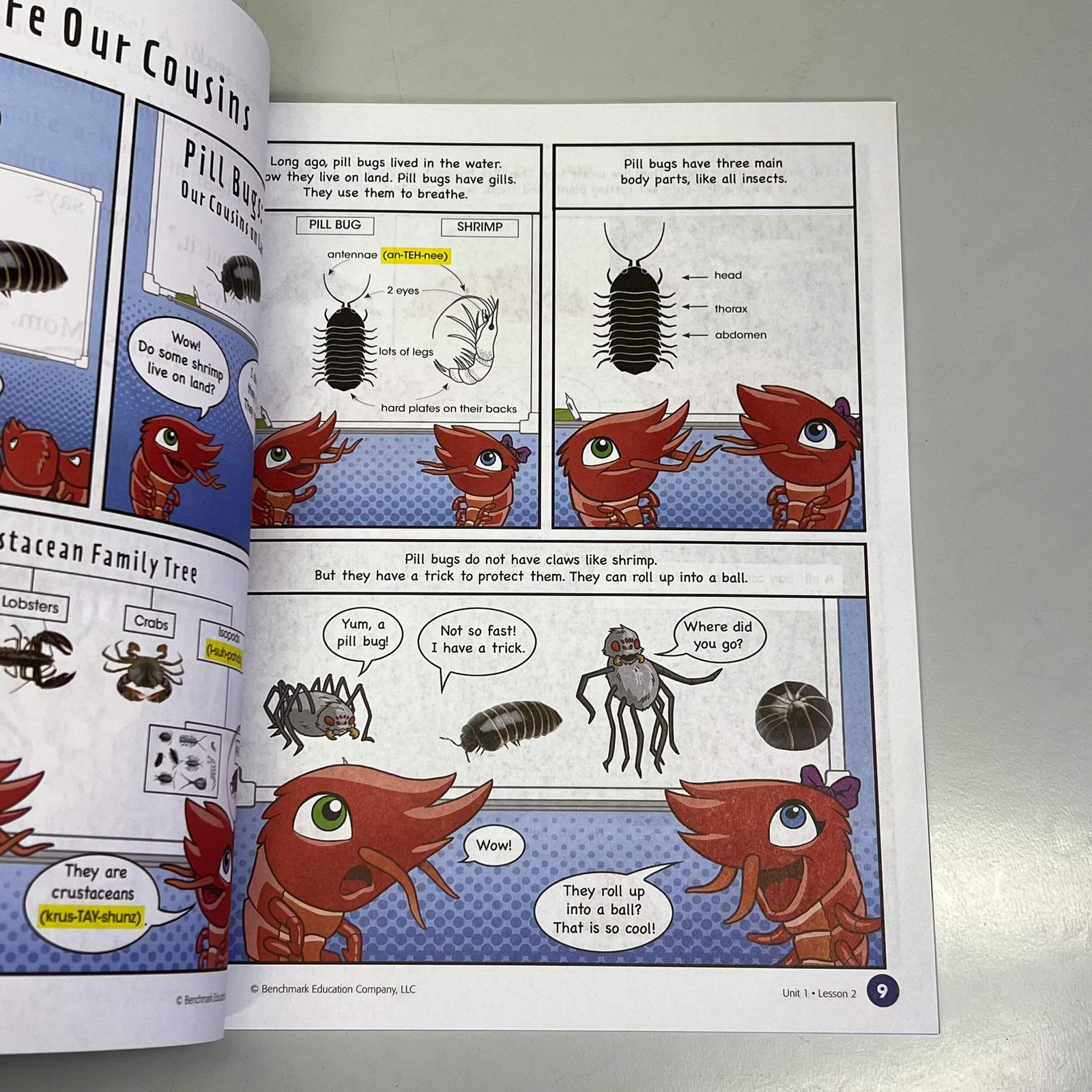 BENCHMARK EDUCATION (7 Unit Book Set) Phonics Intervention Level 3 Long Vowels