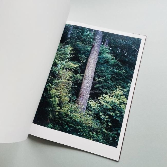 Materia : Yoshihiko Ueda / Yakushima Forest Photo Collection 2012 Japan