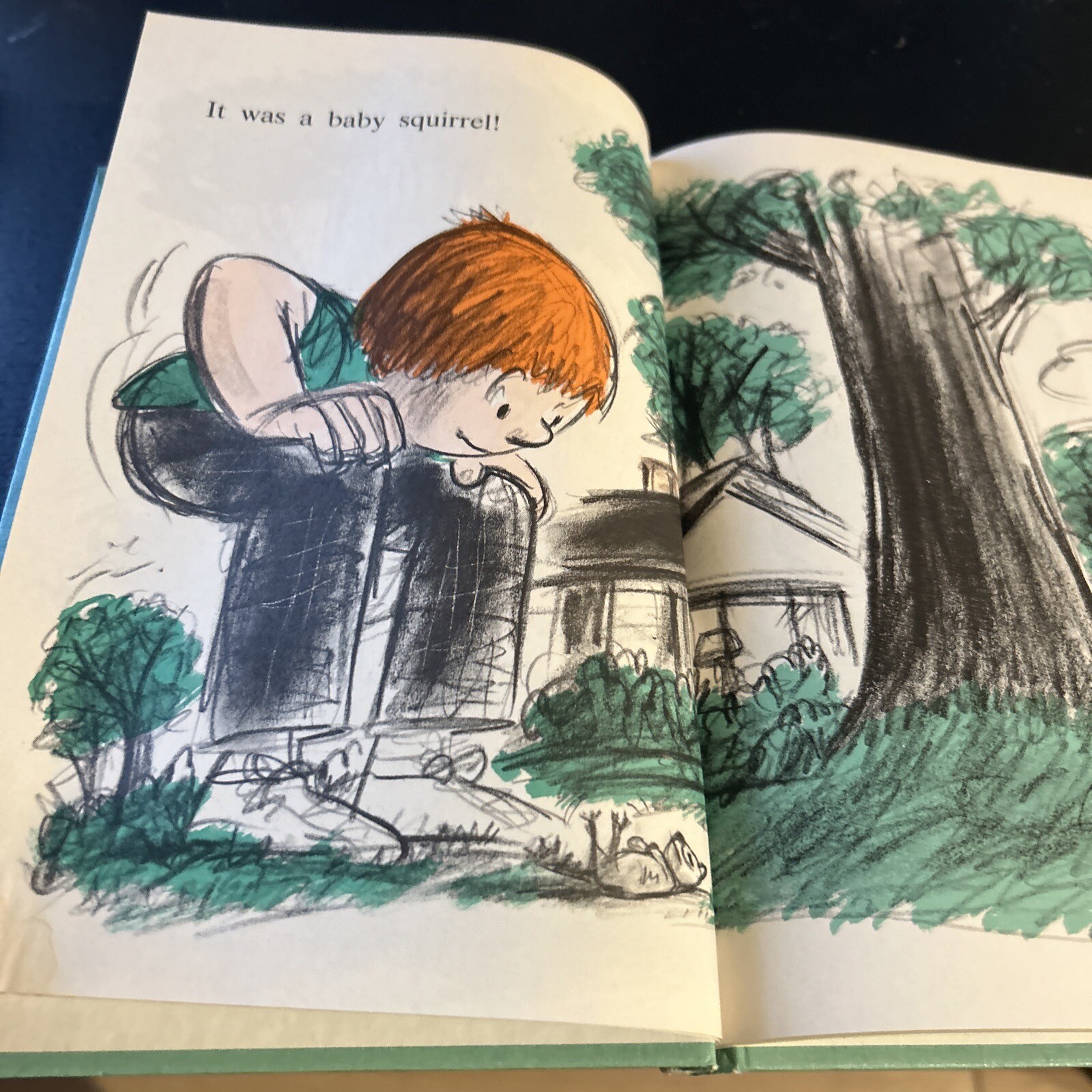 Bony by Frances Zweifel An I Can Read Book Pictures Whitney Darrow HC 1977