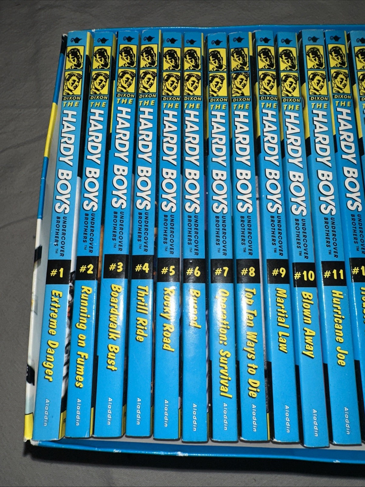 The Ultimate Sleuth 24 Book Collection The Hardy Boys Undercover Brothers