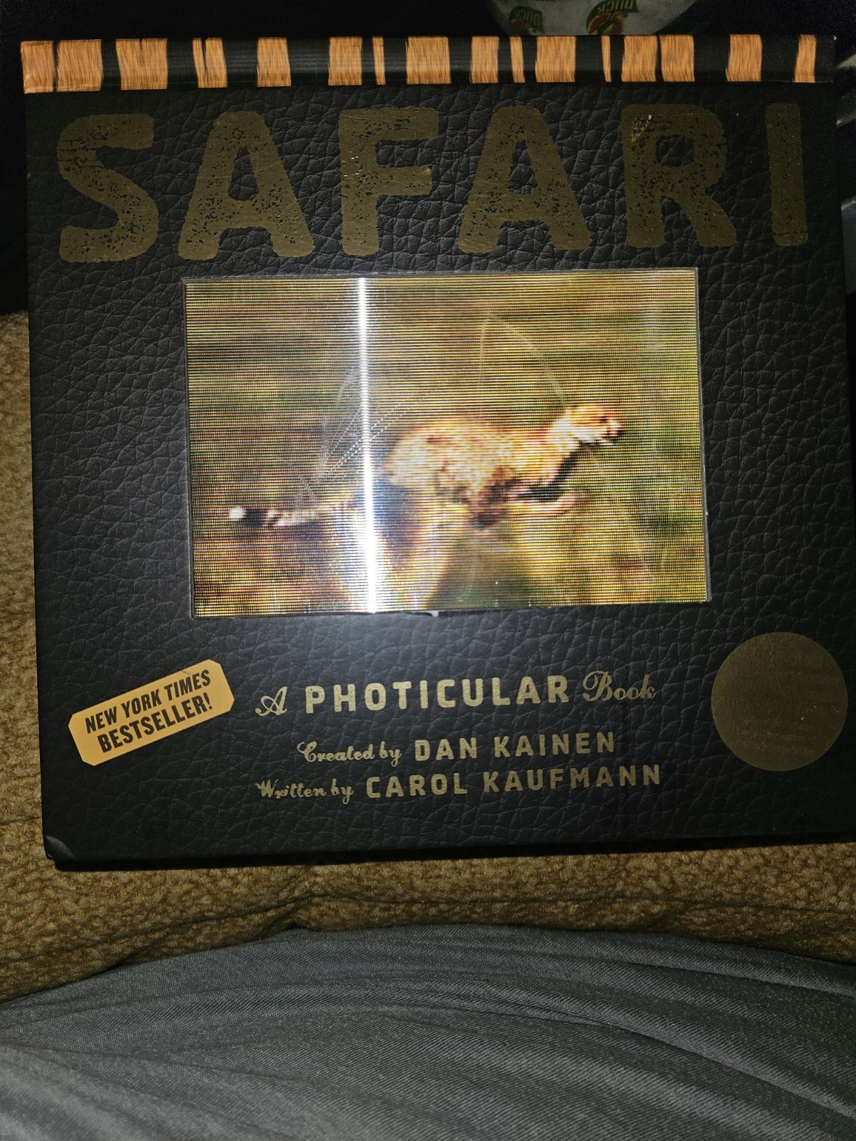 Dan Kainen Carol Kaufmann Safari: A Photicular Book HC Workman 1st Ed 2012