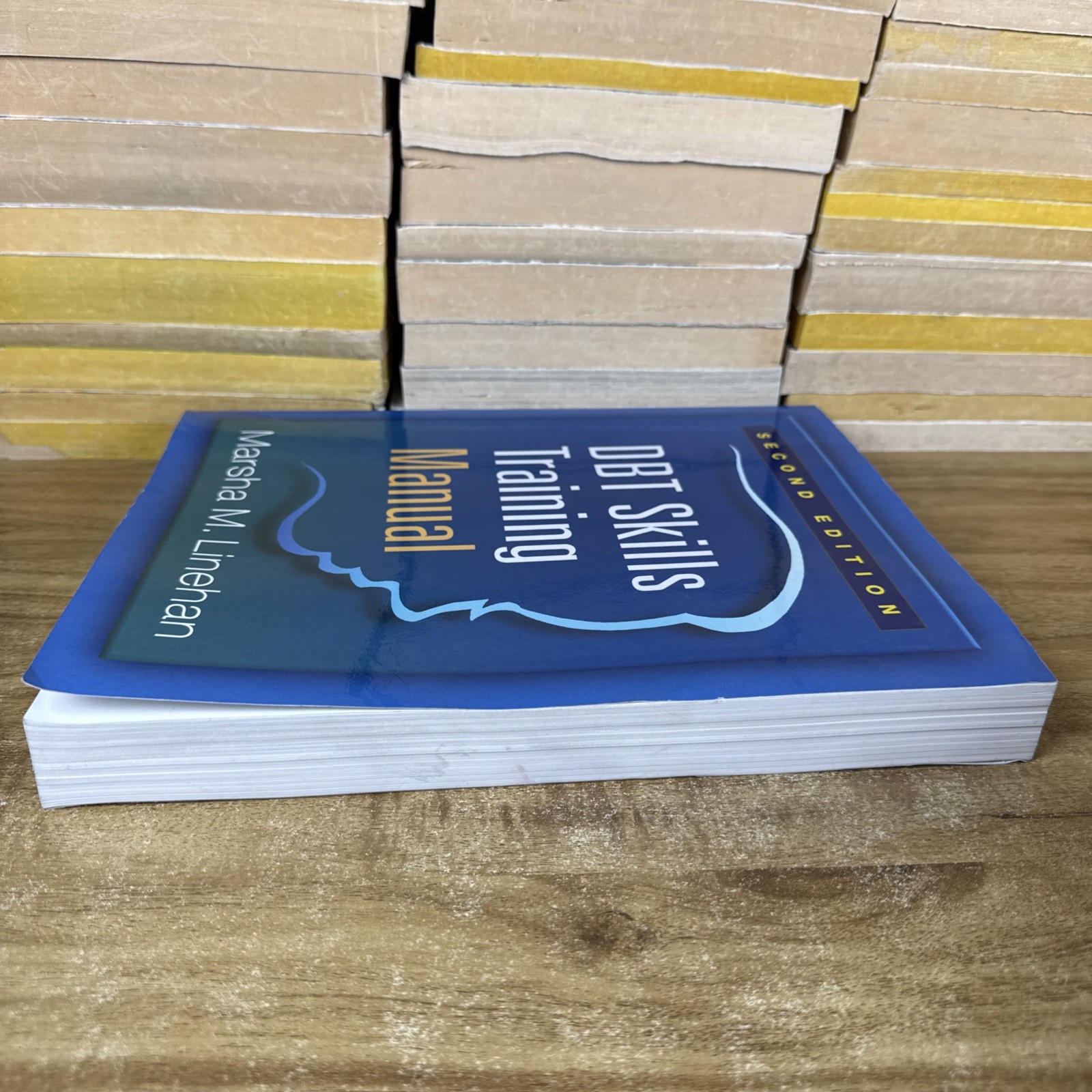 DBT Skills Training Manual, Second Edition by Marsha M. Linehan (2014, Trade