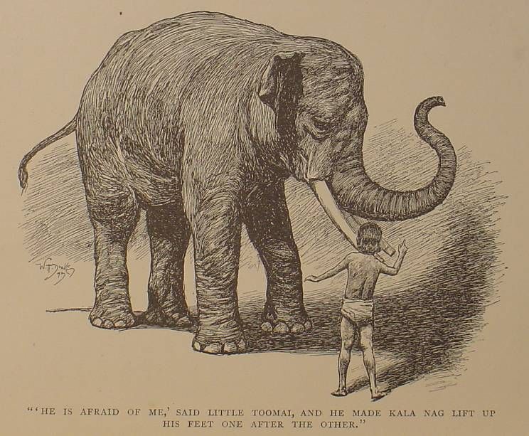 1894 Rare THE JUNGLE BOOK Antique FIRST EDITION Rudyard Kipling 3RD PRINTING