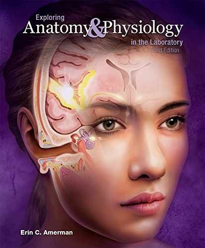 Exploring Anatomy and Physiology in – Loose Leaf, by Amerman Erin C. – Very Good