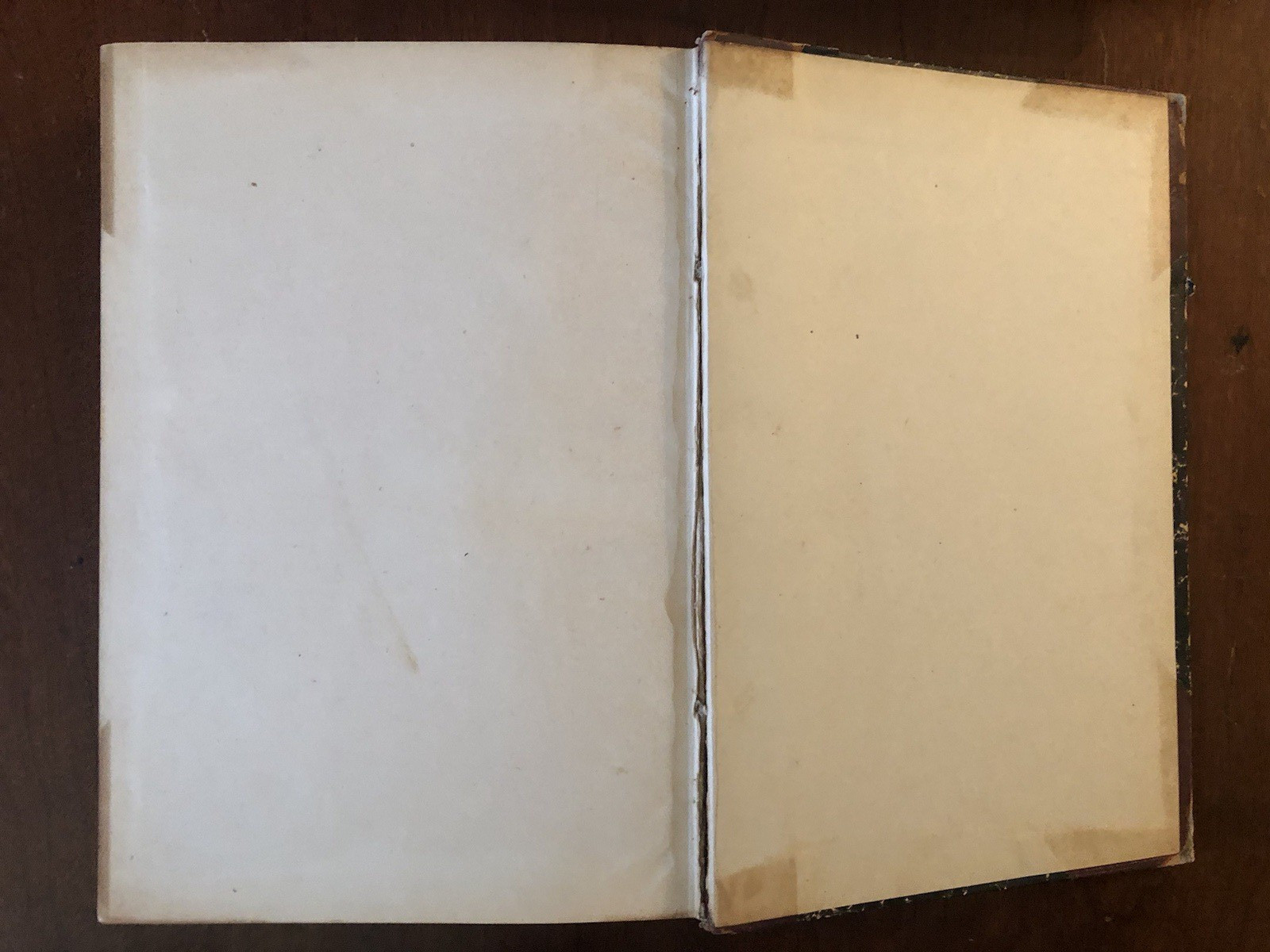 BOOKLOVERS MAGAZINE 1903 bound volumes 1 & 2 *Fragile Vintage Cond-see photos*