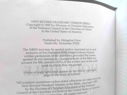 Premium Bible-NRSV by Abingdon Press