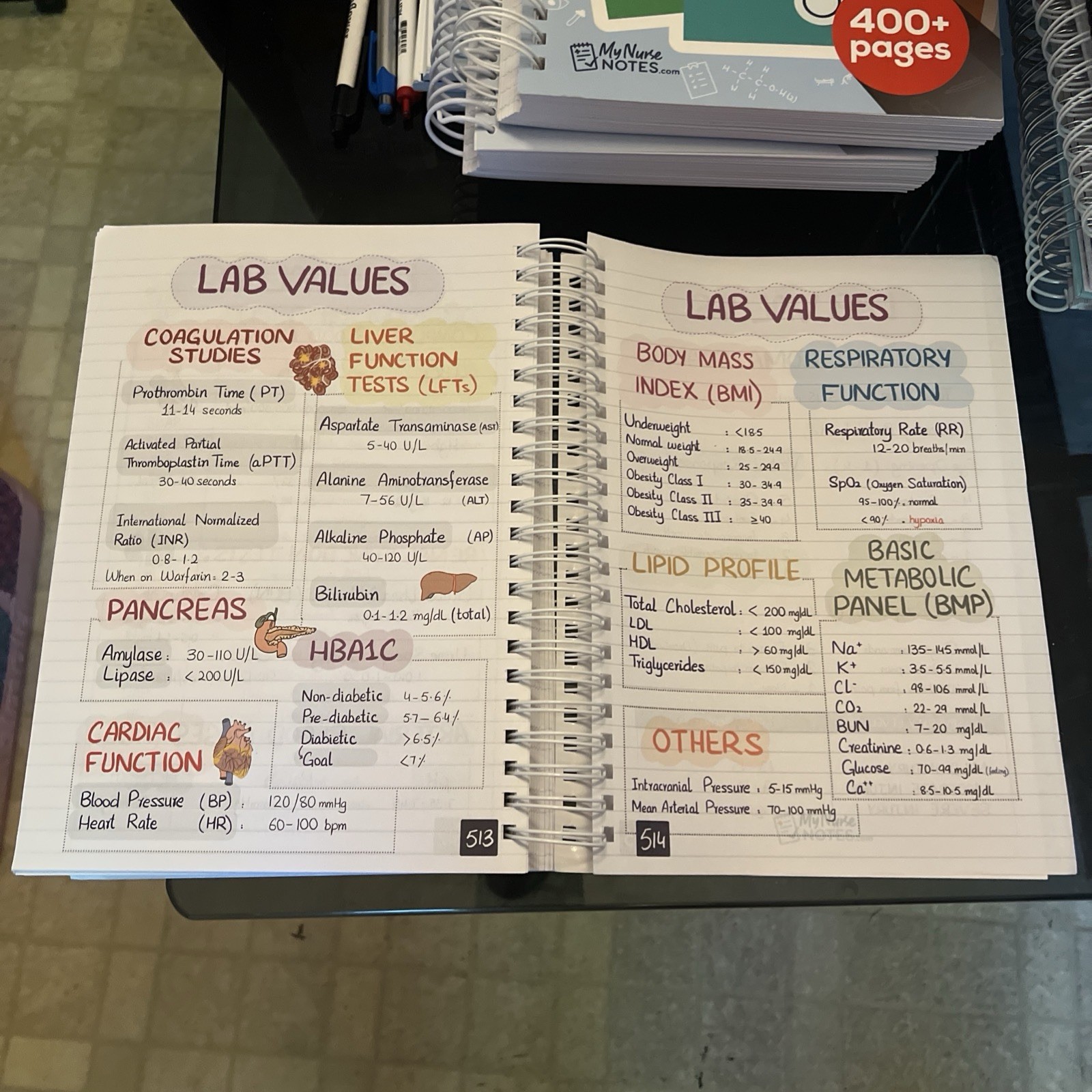 🔥New Nursing Success Bundle 400+ Page Handwritten Notes Designed to Ace Nursing