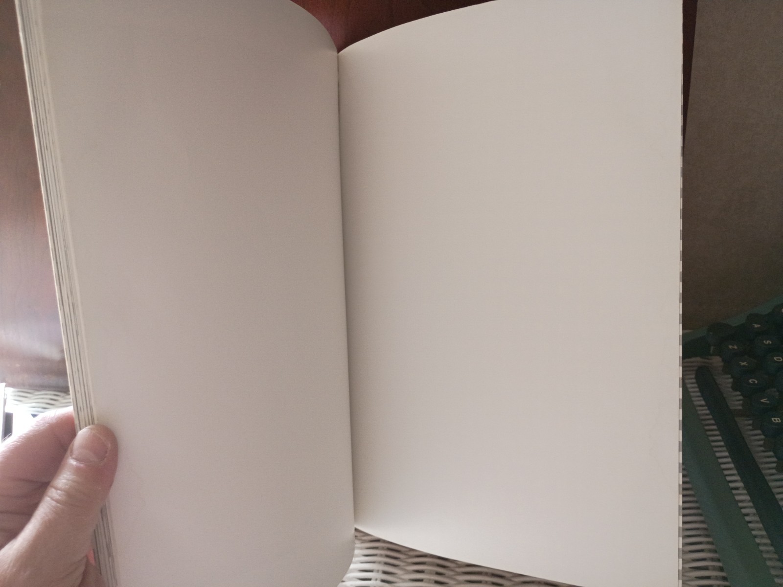 Vintage The Lonely Doll Paperback Book