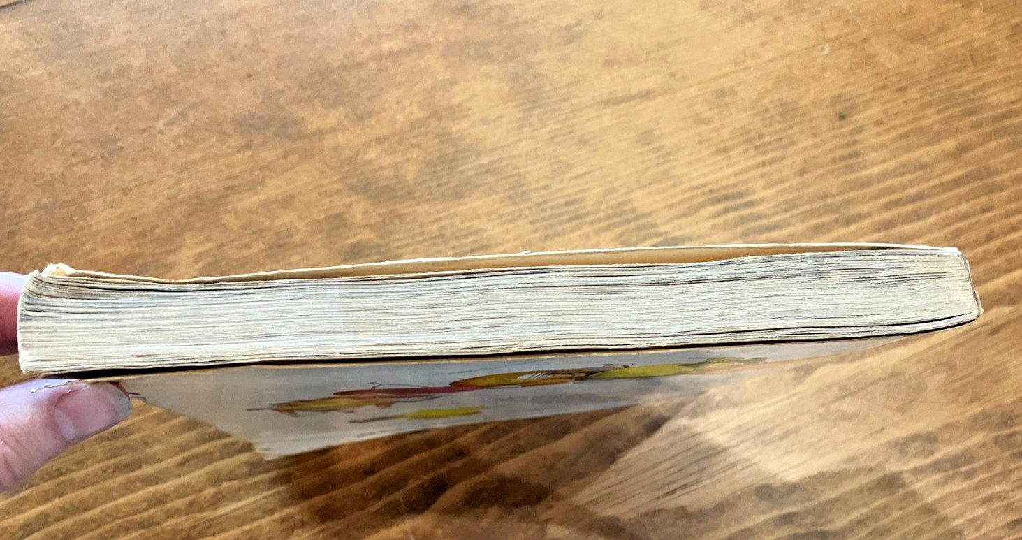Mmmmm: A Feastiary by Ruth Reichl 1st edition 1972 Softcover RARE Cookbook