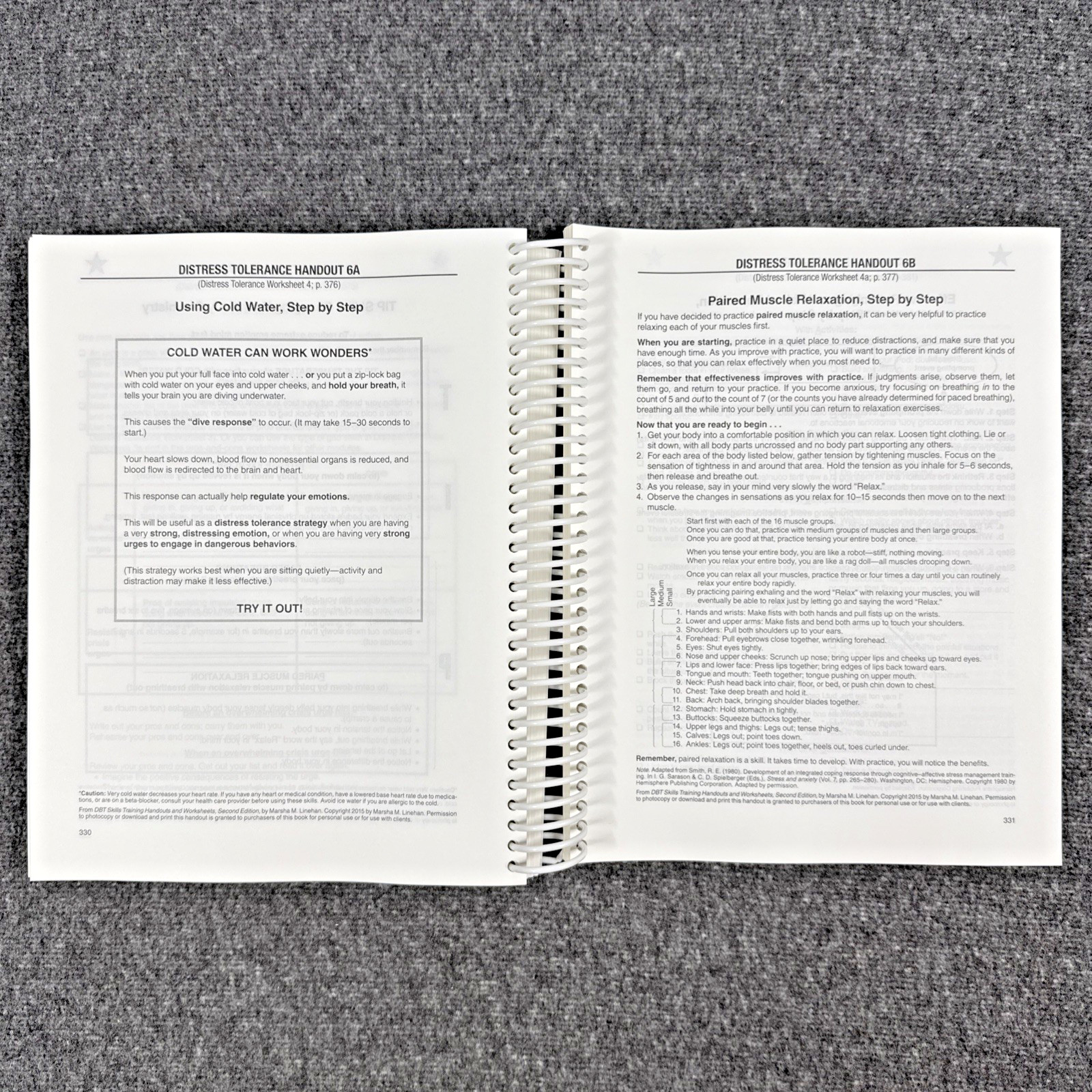 DBT Skills Training Handouts and Worksheets by Marsha M. Linehan, Like New