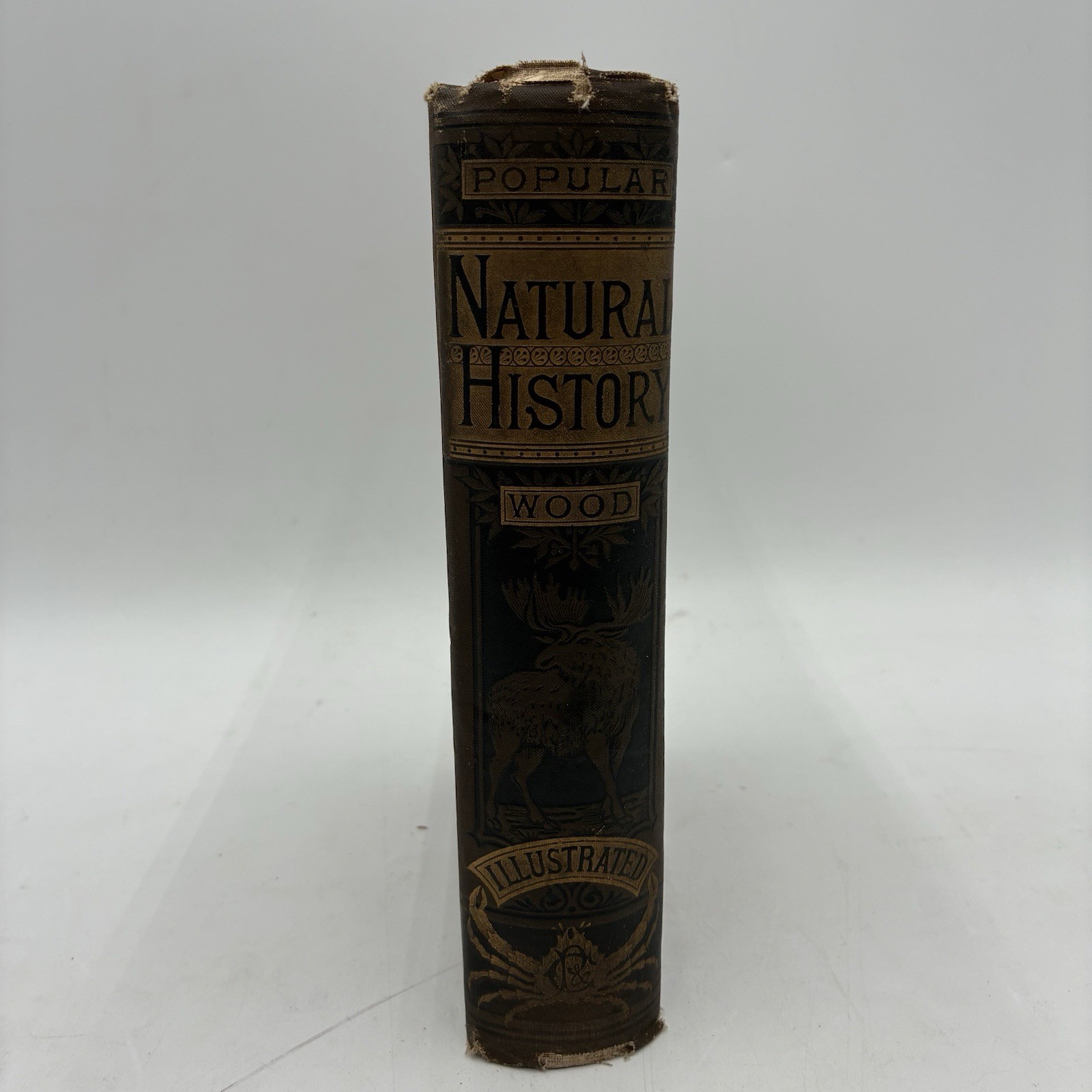 1885 Popular Natural History Rev. J.G. Wood Illustrated Porter & Coates Animals