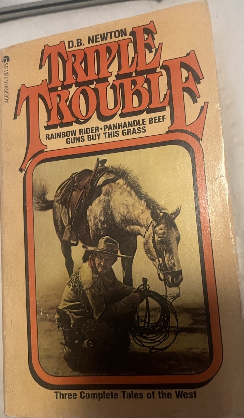 Lot Of 10 Vintage Western Paperback Books (See Photos For Titles) S30