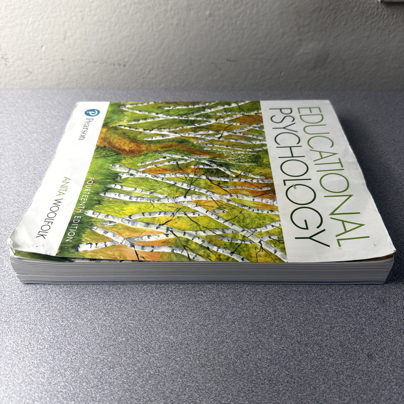 Educational Psychology by Anita Woolfolk (14th Ed.) NO ACCESS CODE