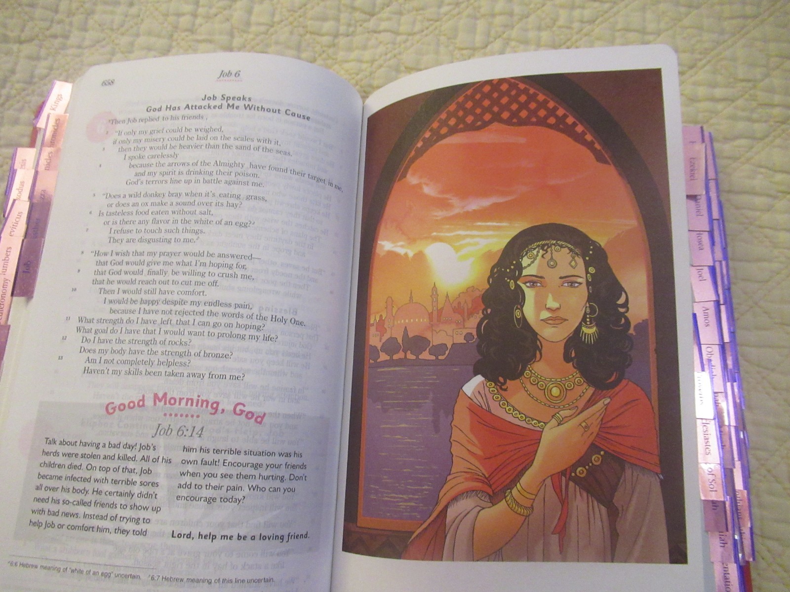 God’s Word for Girls (Pink Faux Leather Bound) (God’s Word Translation)