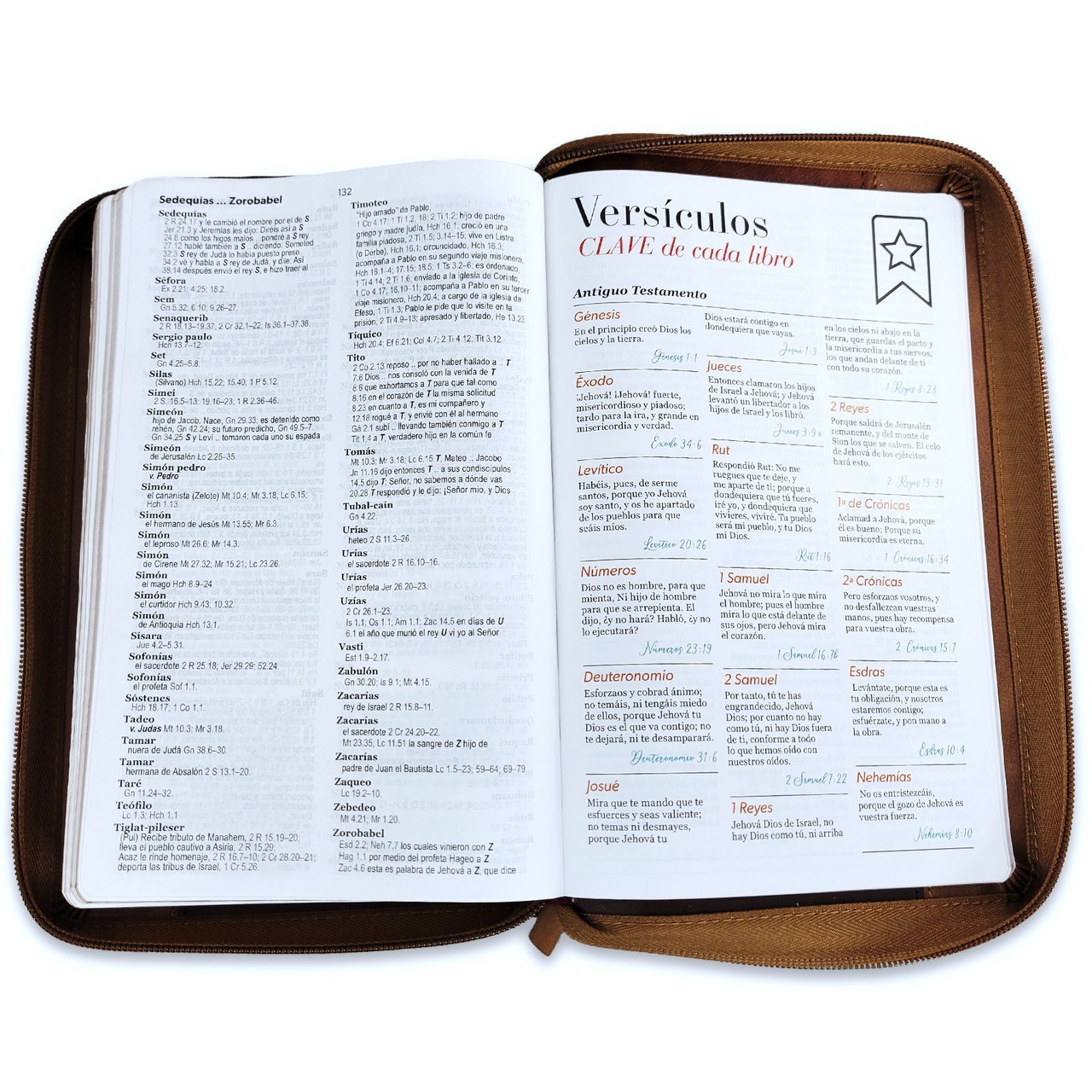 Biblia Letra Grande 12 puntos RV1960 imit piel cafe aguila con indice y cierre