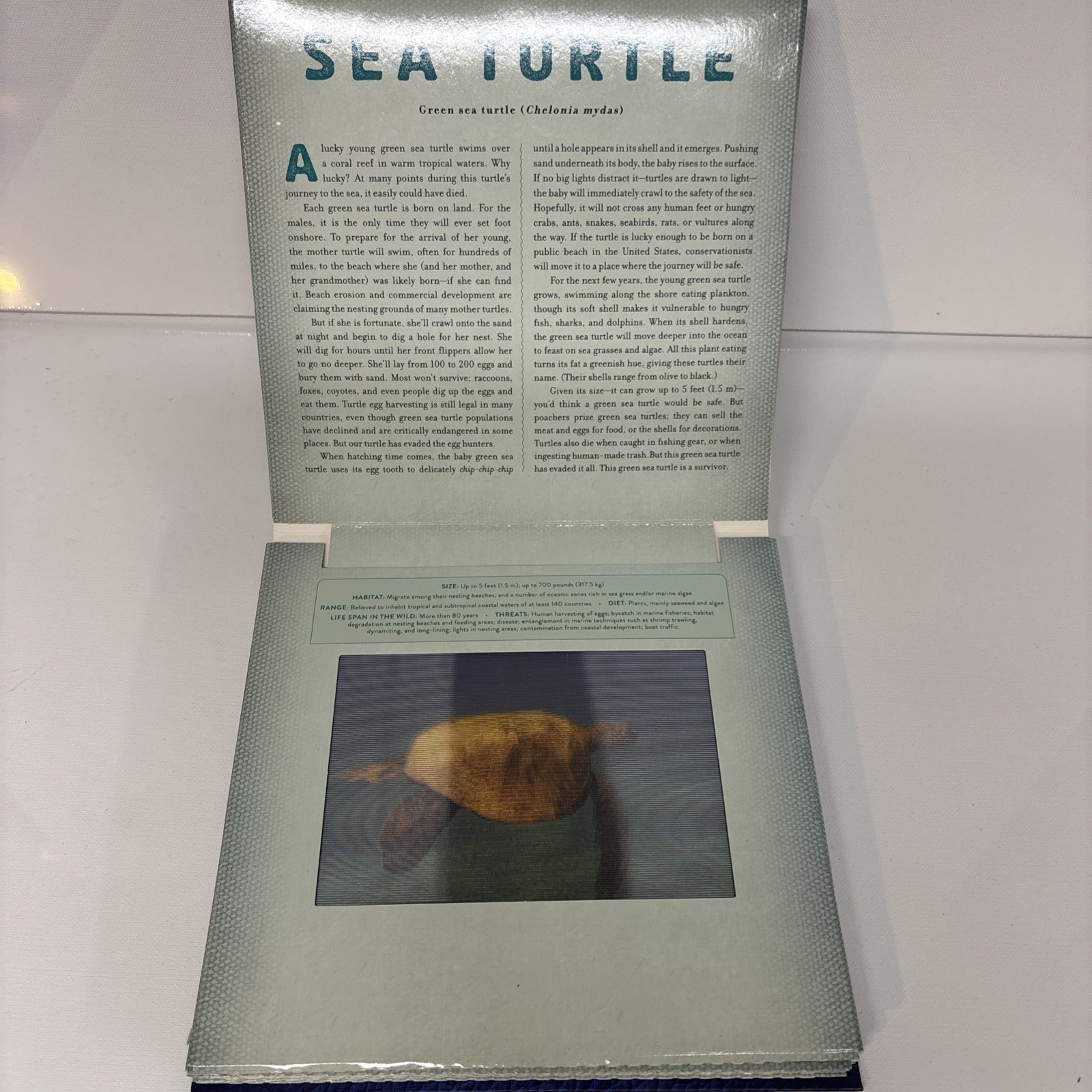 Ocean : A Photicular Book by Carol Kaufmann and Dan Kainen (2014, Hardcover)