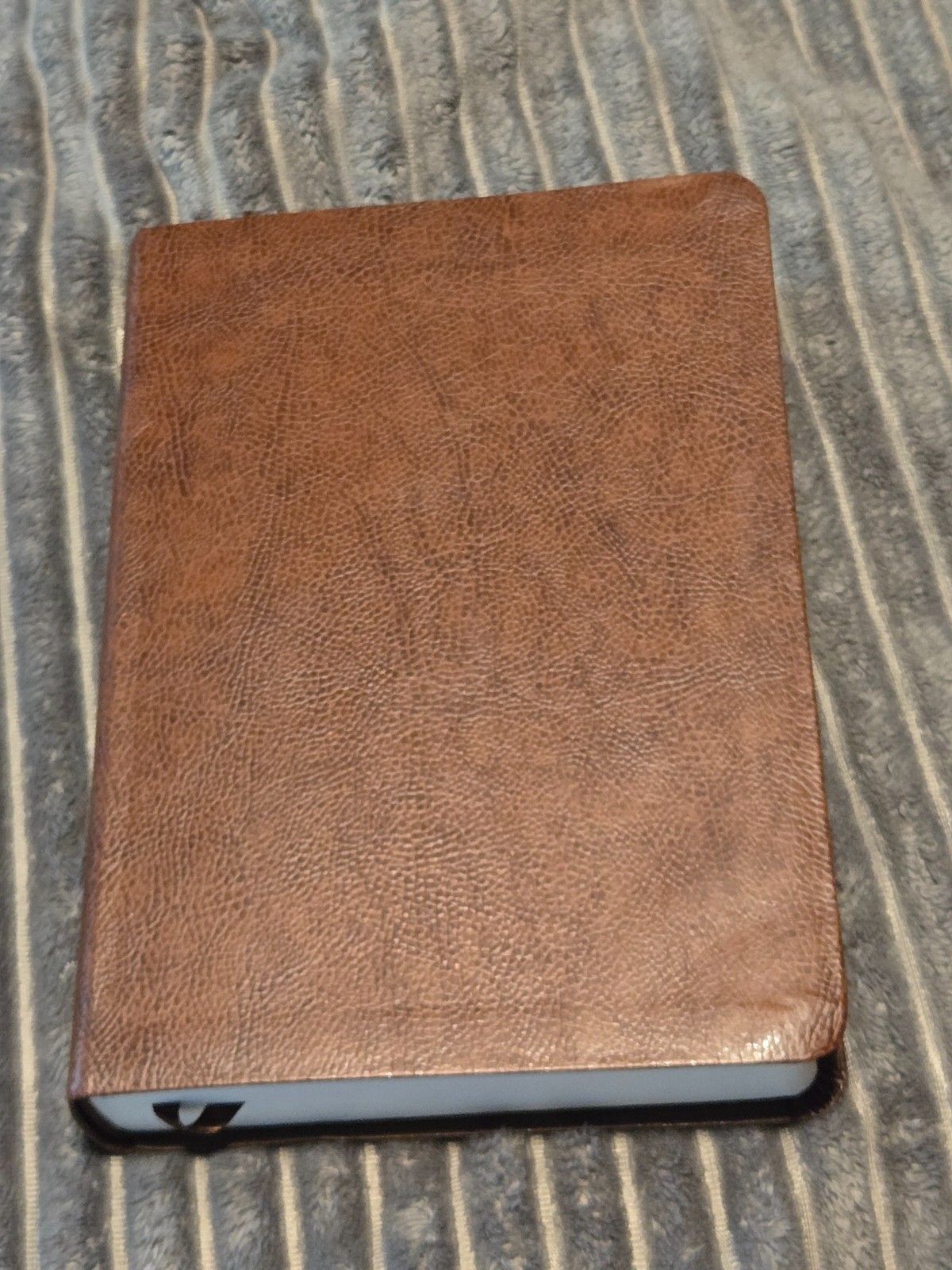 ESV Single Column Journaling Holy Bible, (Bonded Leather, Mocha)