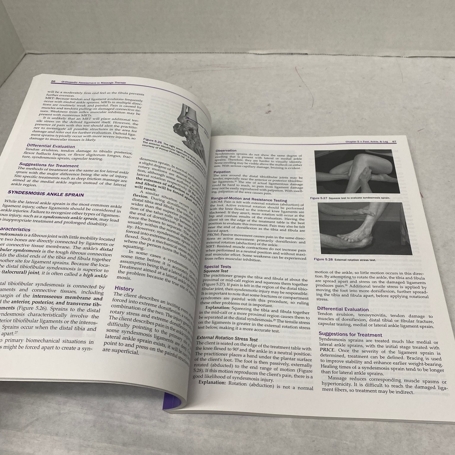 Orthopedic Assessment in Massage Therapy Whitney Lowe 2018 Medical Textbook
