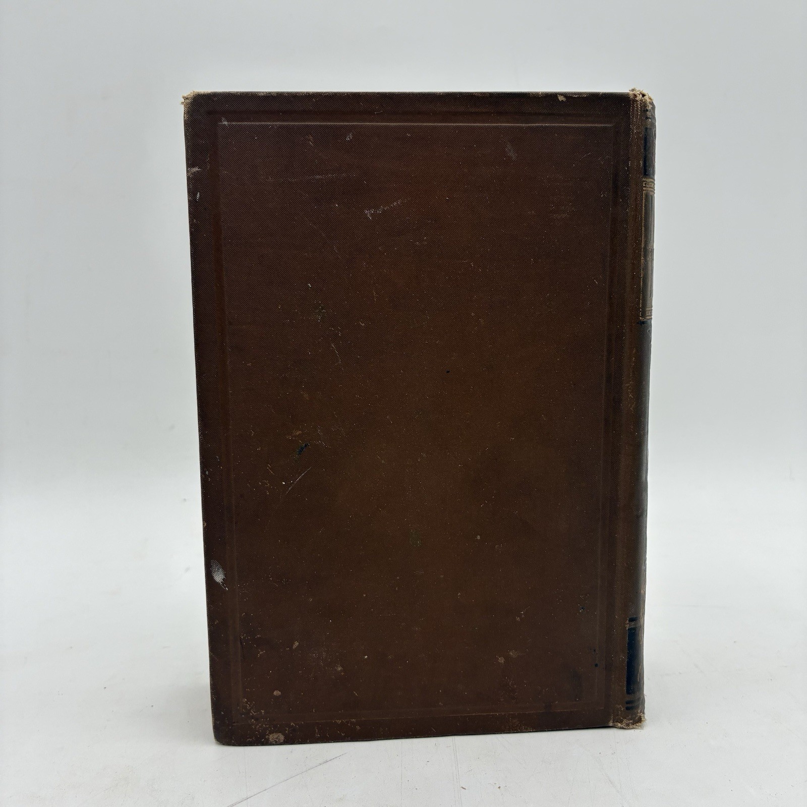 1885 Popular Natural History Rev. J.G. Wood Illustrated Porter & Coates Animals