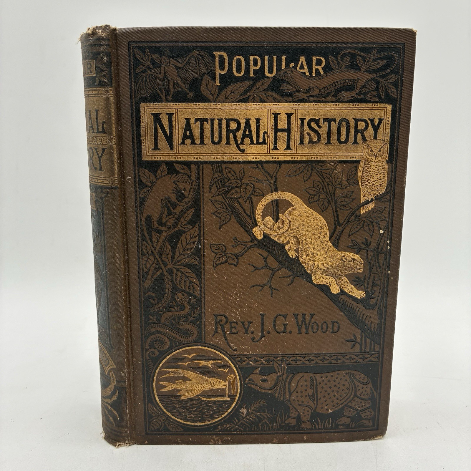 1885 Popular Natural History Rev. J.G. Wood Illustrated Porter & Coates Animals