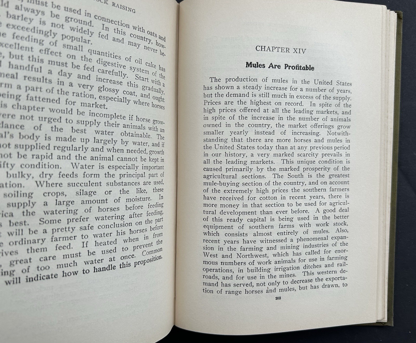 1911 Profitable Stock Raising by Clarence A Shamel Farm Life Series HB Illust