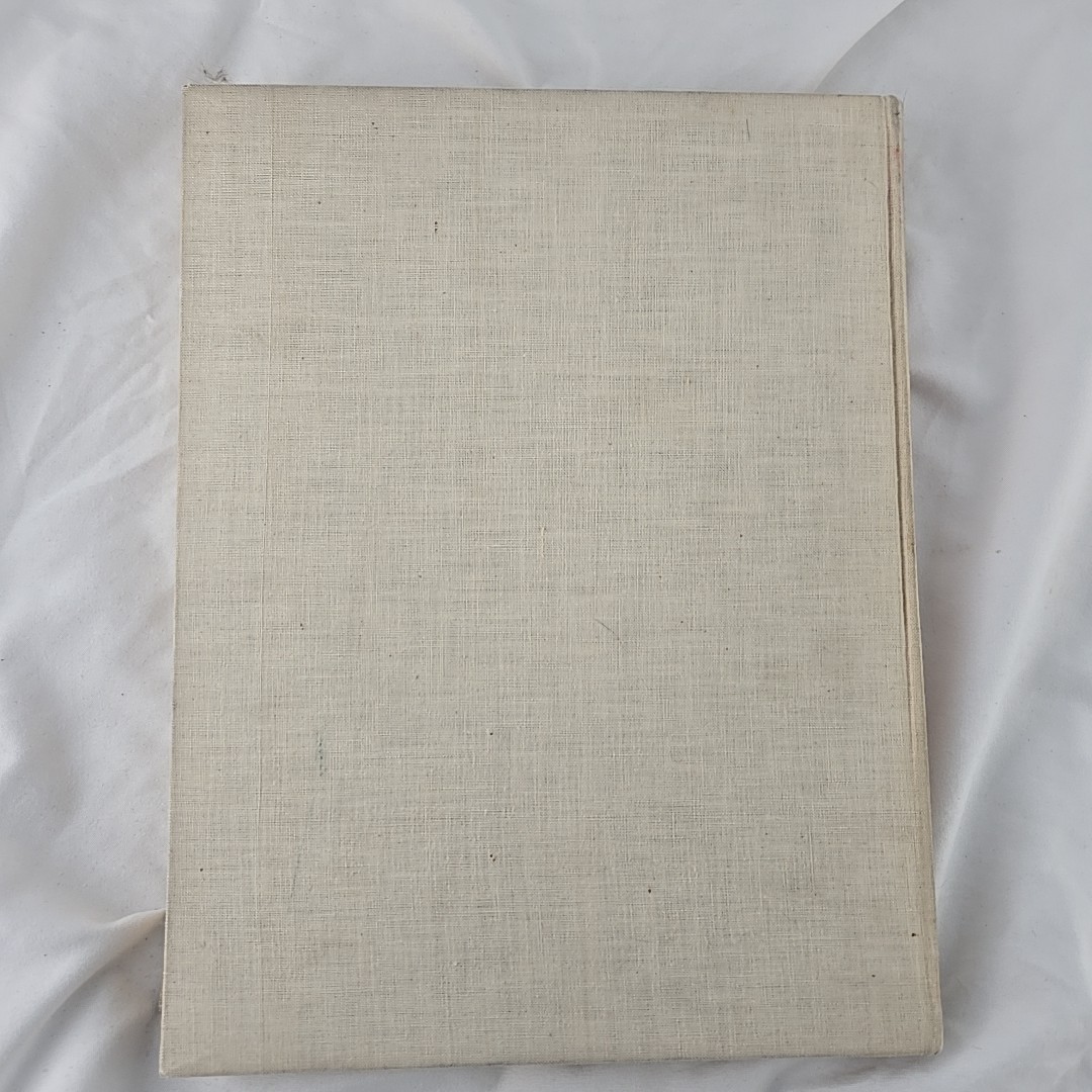 Rare 1920s Romantic America Photography Book E.O. Hoppe 304 Sepia Photos 1927