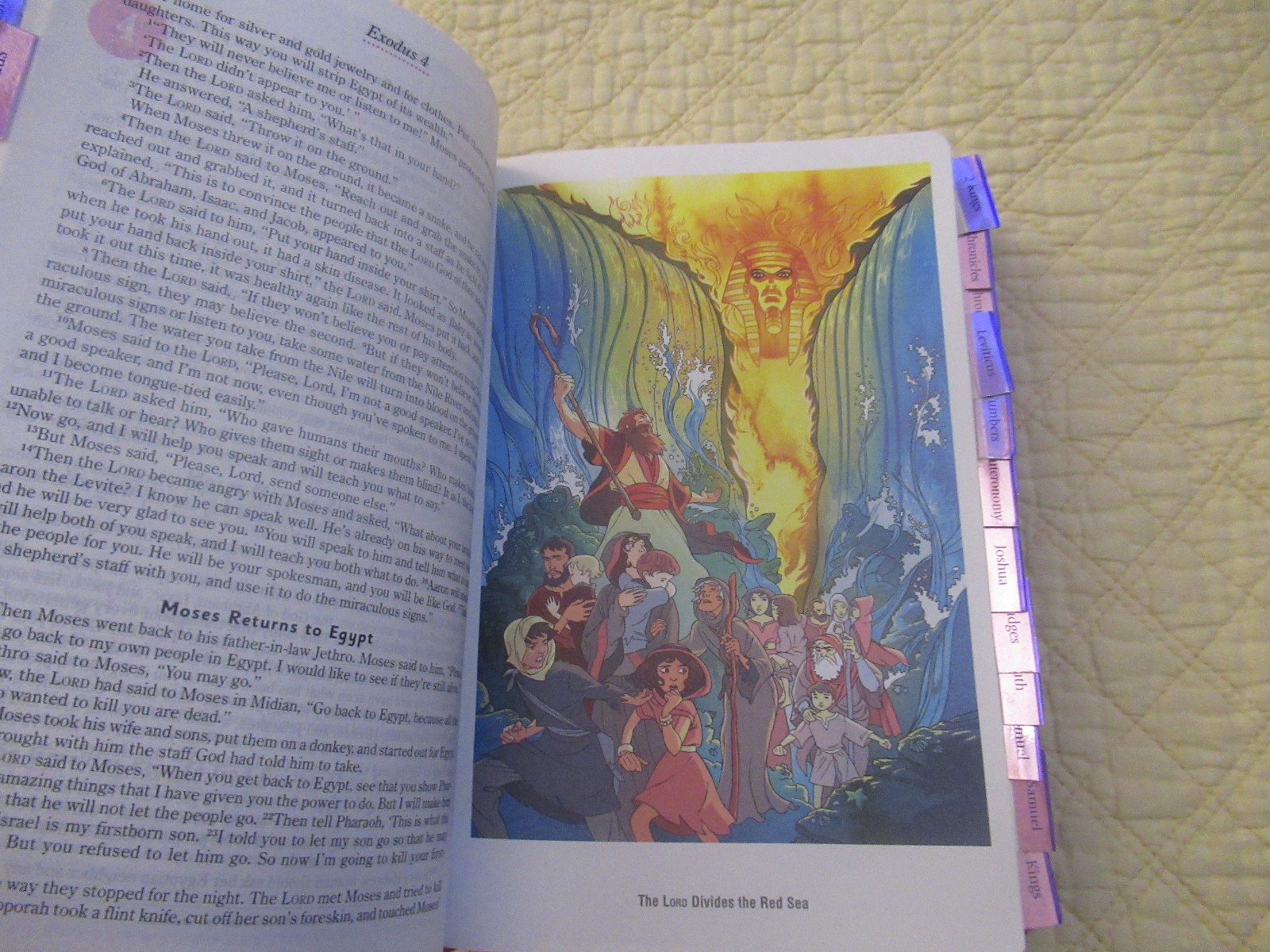 God’s Word for Girls (Pink Faux Leather Bound) (God’s Word Translation)