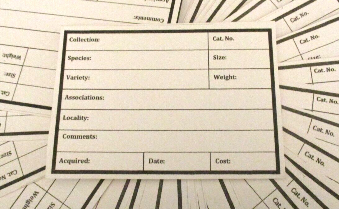 50 – White Specimen Catalog Cards E4290