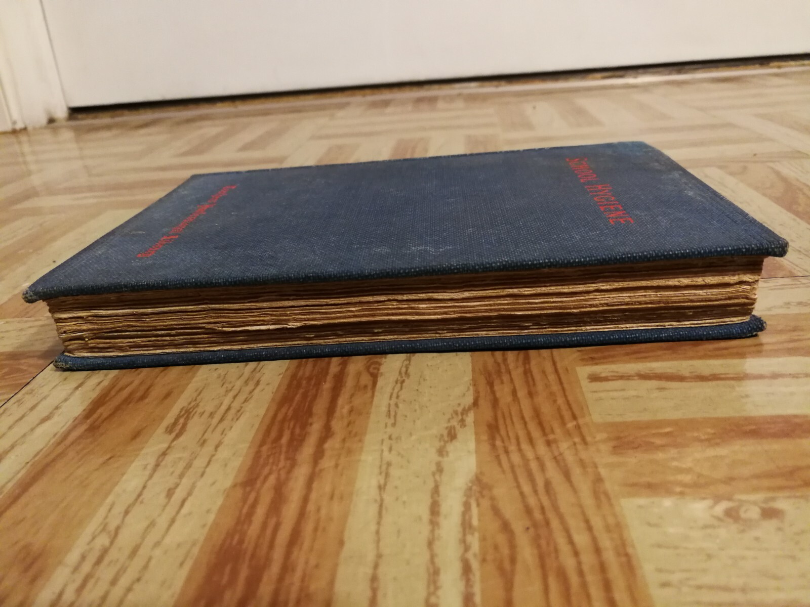 SCHOOL HYGIENE by EDWARD R SHAW 1902 TEACHERS PROFESSIONAL LIBRARY PHYSIOLOGY