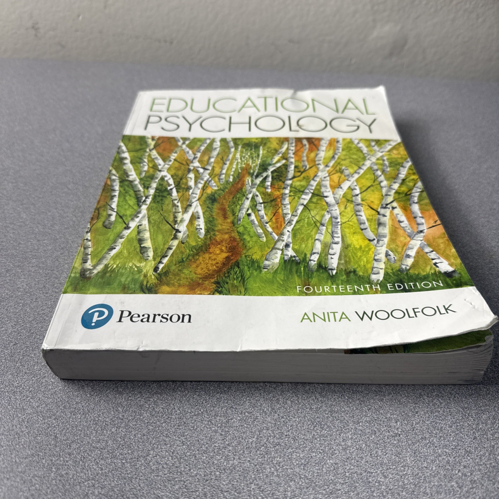 Educational Psychology by Anita Woolfolk (14th Ed.) NO ACCESS CODE