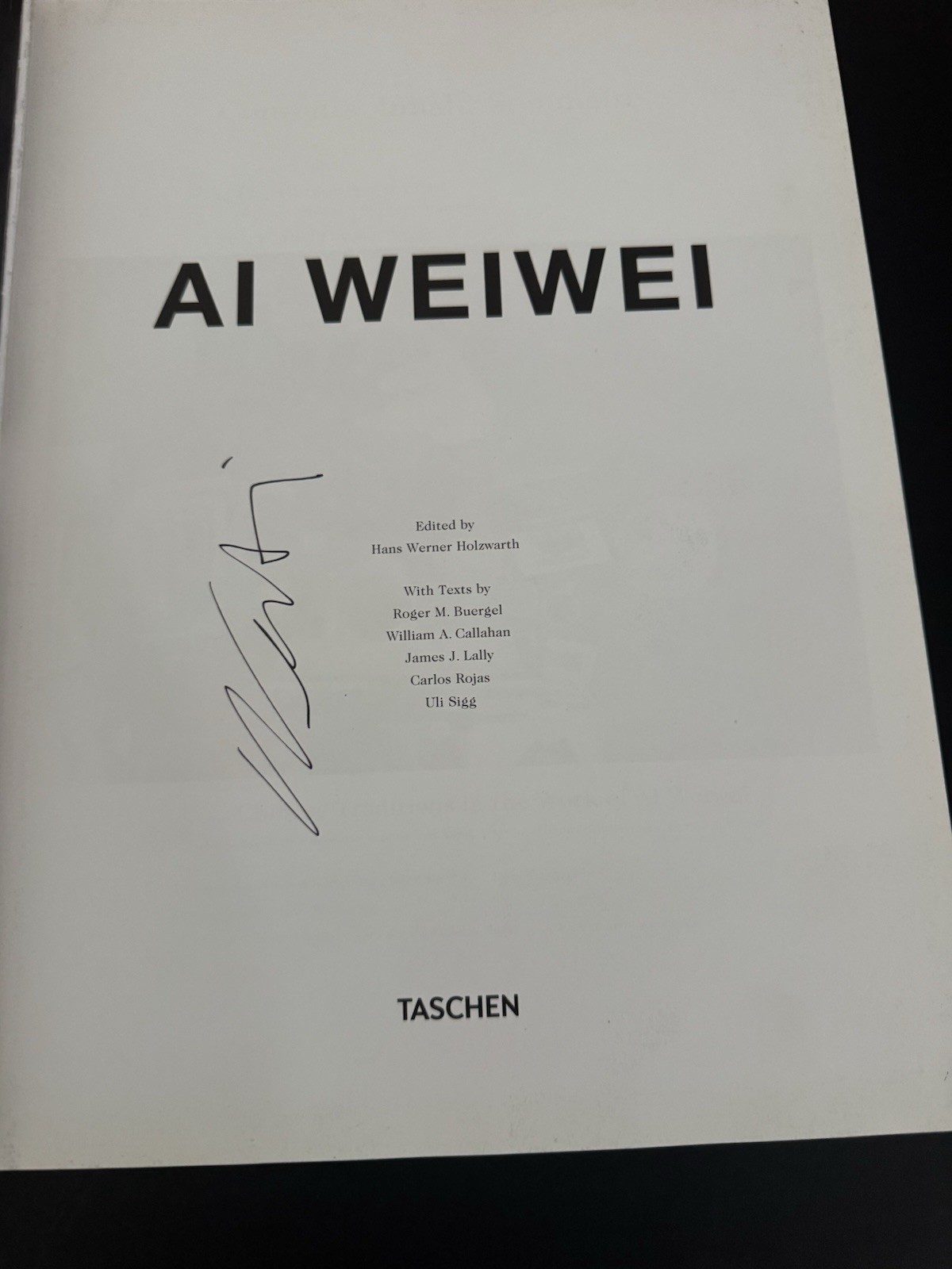 Signed! Ai Weiwei by Hans Werner Holzwarth (2016, Hardcover)