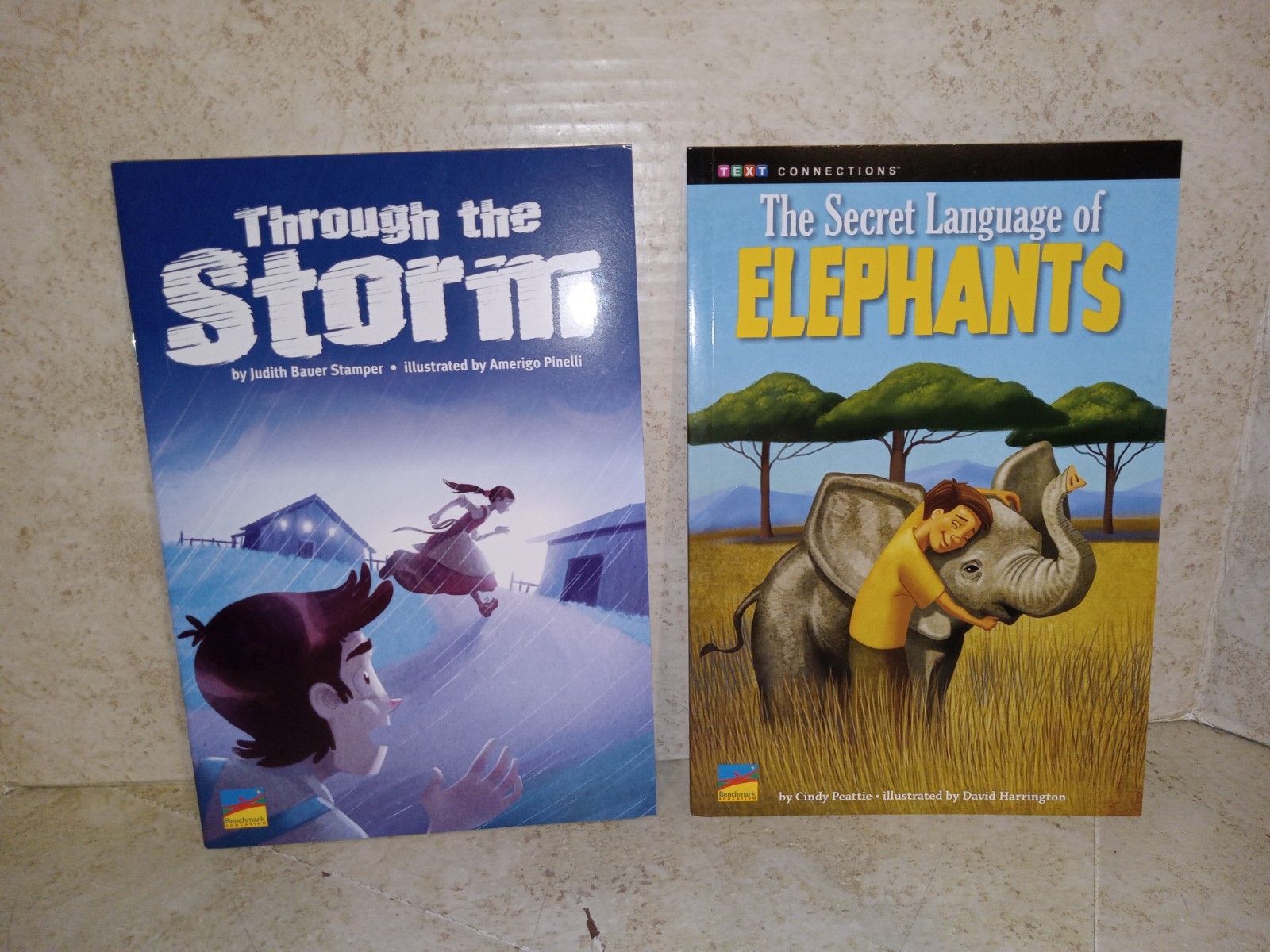 BENCHMARK EDUCATION Reading Books Lot (7) GRADE 4 Level Mixed Authors BRAND NEW