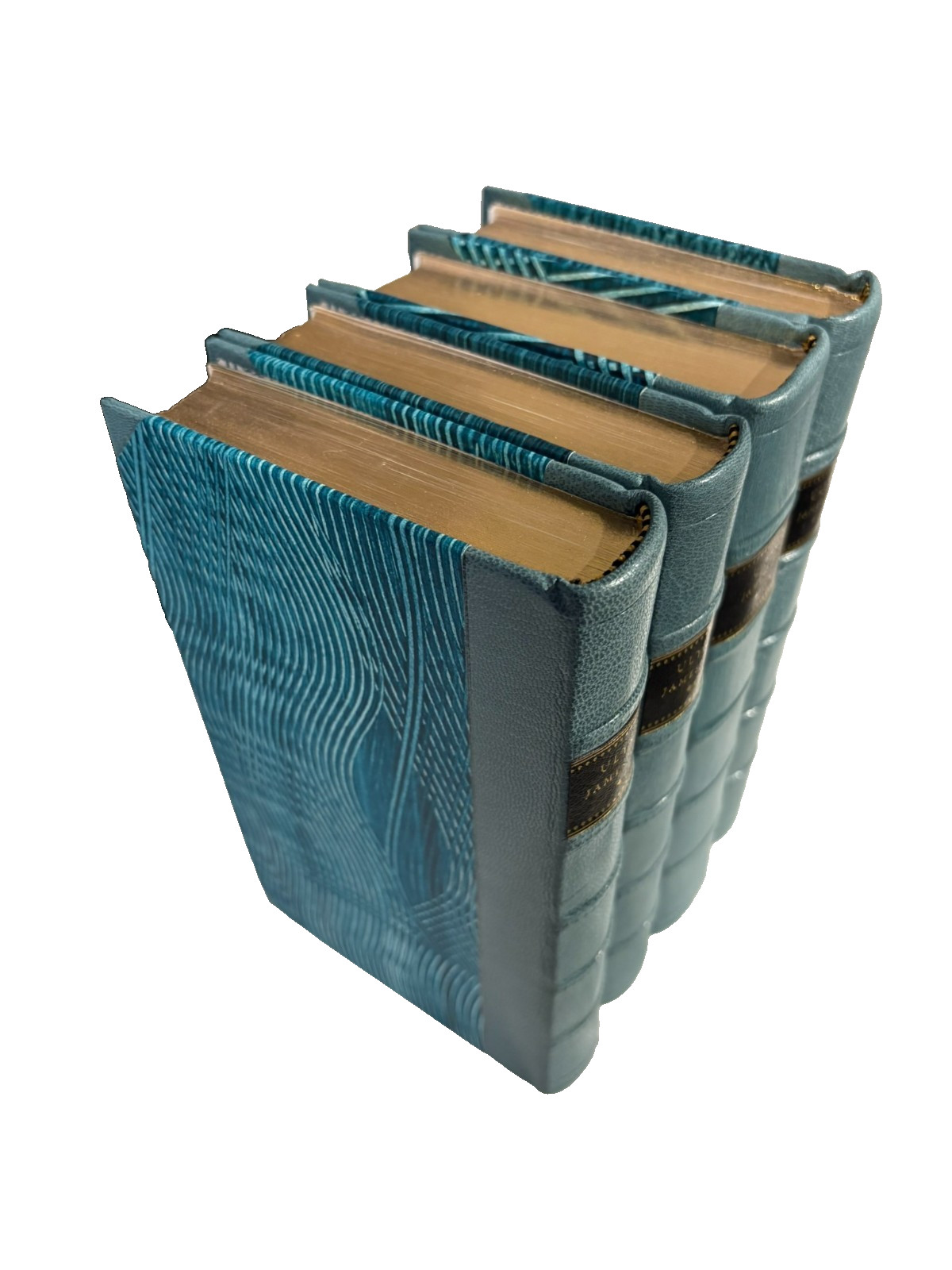 Thornwillow Press Ulysses – PROTEUS Half-Leather