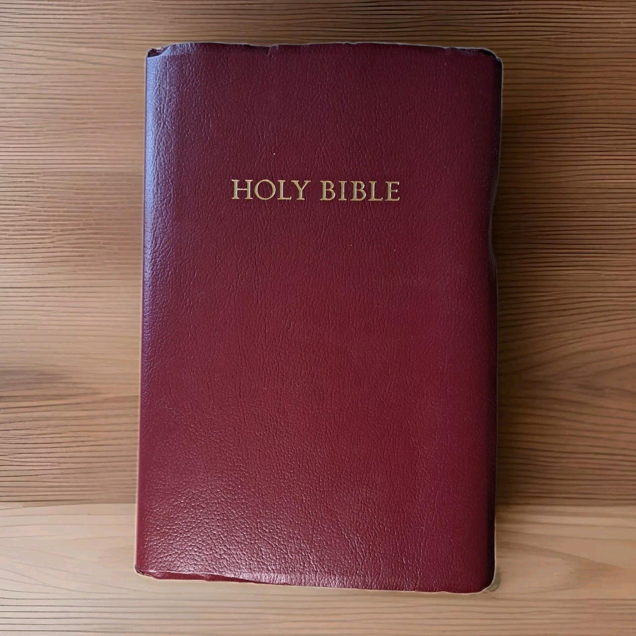 Holy Bible-KJV, Giant Print Reference Edition, Words of Jesus in Red Concordance