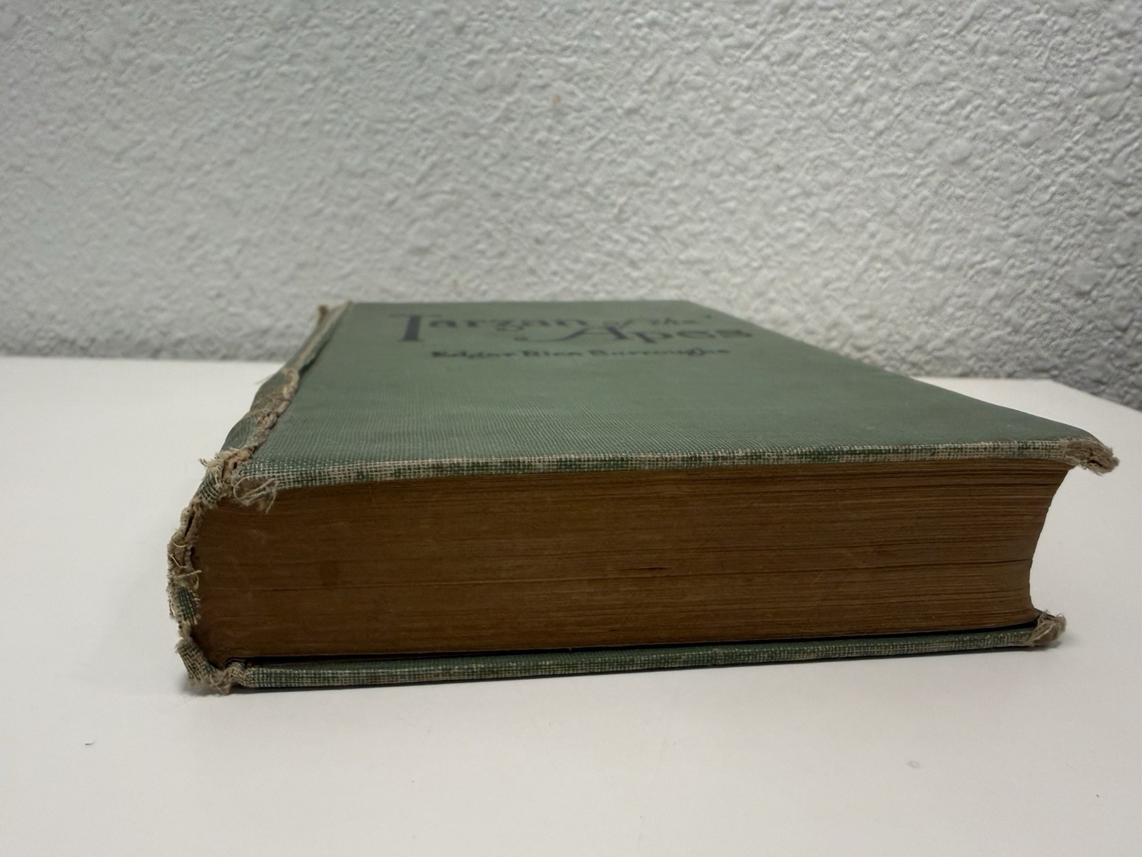 Tarzan of the Apes Edgar Rice Burroughs A.L. Burt Early HC 1914 Frontispiece