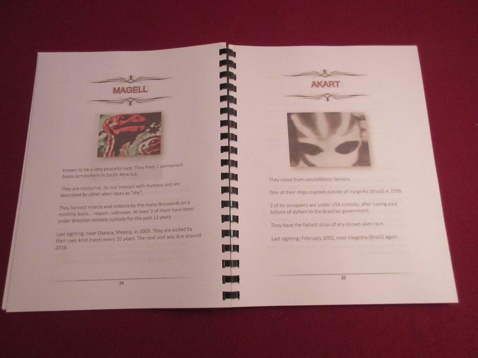 Book Of Alien Races Translated from KGB Secret Russian Book w/Pictures