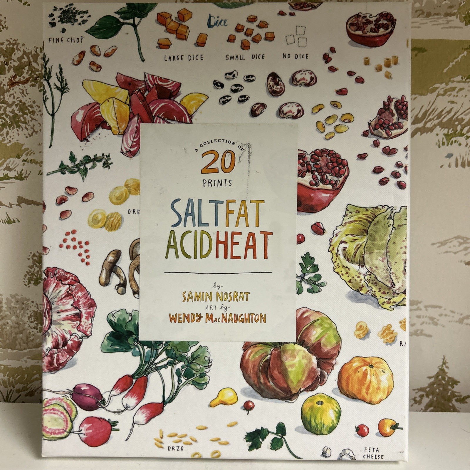 20 Prints 8×10” Illustrations Salt Fat Acid Heat By Samin Nosrat W MacNaughton